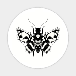 Skull moth Magnet